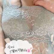 ヒメ日記 2025/11/10 19:00 投稿 理子-りこ 熟女10000円デリヘル 川崎