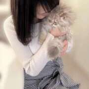 ヒメ日記 2025/11/04 12:54 投稿 くるみ コートダジュール