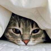 かぐや お詫び申し上げます 木更津人妻花壇