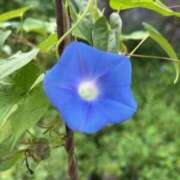 ヒメ日記 2025/08/29 10:18 投稿 三原翔子 五十路マダム東広島店(カサブランカグループ)