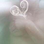 ヒメ日記 2025/11/25 11:48 投稿 三原翔子 五十路マダム東広島店(カサブランカグループ)