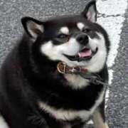 みるく [お題]from:守りたいこの寝顔さん S級美女専門　ロイヤルリング