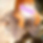 ヒメ日記 2026/02/20 20:03 投稿 かんな Queen Angel(クイーンエンジェル)