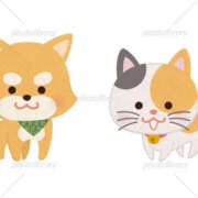 ヒメ日記 2026/05/12 08:11 投稿 かんな Queen Angel(クイーンエンジェル)