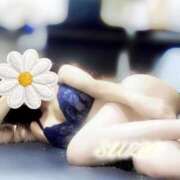 ヒメ日記 2025/12/21 00:31 投稿 安倍すず 池袋㊙エステ～フル勃起～