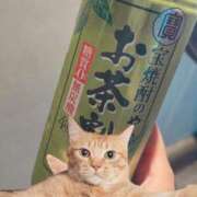 ヒメ日記 2025/06/19 02:40 投稿 きらら OKINI Tokyo in 蒲田