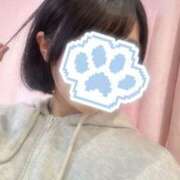 ヒメ日記 2025/05/15 10:35 投稿 りと 上野ハンドメイド