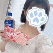 ヒメ日記 2025/05/18 12:53 投稿 りと 上野ハンドメイド