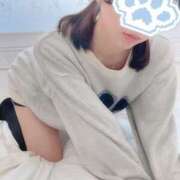 ヒメ日記 2025/11/17 15:18 投稿 りと 上野ハンドメイド