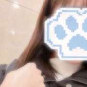 ヒメ日記 2025/12/17 17:06 投稿 りと 上野ハンドメイド