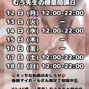 ヒメ日記 2025/05/13 20:17 投稿 むう先生 渋谷   大人の幼稚園