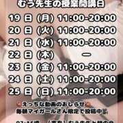 ヒメ日記 2025/05/19 10:17 投稿 むう先生 渋谷   大人の幼稚園