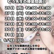 ヒメ日記 2025/05/25 20:57 投稿 むう先生 渋谷   大人の幼稚園