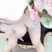 ヒメ日記 2025/06/10 16:17 投稿 むう先生 渋谷   大人の幼稚園