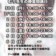 ヒメ日記 2025/07/01 18:27 投稿 むう先生 渋谷   大人の幼稚園