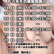 ヒメ日記 2025/07/12 17:57 投稿 むう先生 渋谷   大人の幼稚園