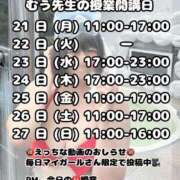 ヒメ日記 2025/07/22 21:47 投稿 むう先生 渋谷   大人の幼稚園