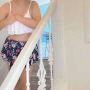 ヒメ日記 2025/07/29 14:57 投稿 むう先生 渋谷   大人の幼稚園