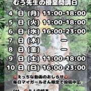 ヒメ日記 2025/08/02 20:47 投稿 むう先生 渋谷   大人の幼稚園