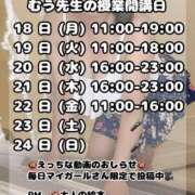 ヒメ日記 2025/08/17 10:17 投稿 むう先生 渋谷   大人の幼稚園