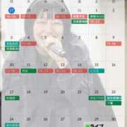 ヒメ日記 2025/10/27 12:27 投稿 むう先生 渋谷   大人の幼稚園