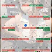 ヒメ日記 2025/11/14 15:47 投稿 むう先生 渋谷   大人の幼稚園