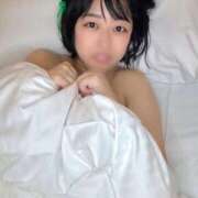 ヒメ日記 2025/11/19 15:01 投稿 むう先生 渋谷   大人の幼稚園