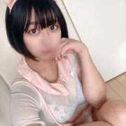 ヒメ日記 2025/11/21 16:27 投稿 むう先生 渋谷   大人の幼稚園