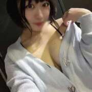 ヒメ日記 2025/11/26 11:47 投稿 むう先生 渋谷   大人の幼稚園