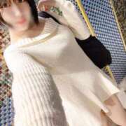 ヒメ日記 2025/12/11 21:57 投稿 むう先生 渋谷   大人の幼稚園