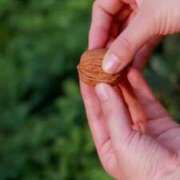 ヒメ日記 2025/07/02 22:06 投稿 二階堂みほ 月の真珠-五反田-