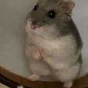 ヒメ日記 2025/09/07 11:07 投稿 二階堂みほ 月の真珠-五反田-