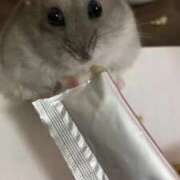 ヒメ日記 2025/10/02 18:00 投稿 二階堂みほ 月の真珠-五反田-