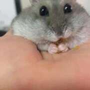 ヒメ日記 2025/10/25 19:50 投稿 二階堂みほ 月の真珠-五反田-