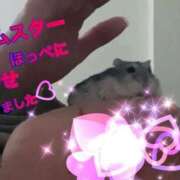 ヒメ日記 2025/11/19 10:20 投稿 二階堂みほ 月の真珠-五反田-