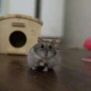 ヒメ日記 2026/03/11 18:50 投稿 二階堂みほ 月の真珠-五反田-