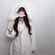 ヒメ日記 2025/10/05 14:31 投稿 スイ COCOMERO（ココメロ）