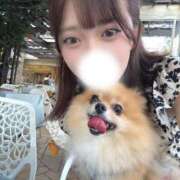 ヒメ日記 2025/09/13 12:06 投稿 鈴乃-すずの【FG系列】 ほんつま 沼津店 (FG系列)