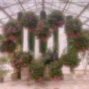 すずね 明日もっ🧏🏻‍♀️💓 リアル難波店