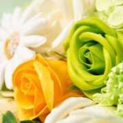 綾瀬みやび 🈵🐣♥️ 一夜妻