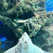 ヒメ日記 2025/09/17 23:13 投稿 柴崎あゆは THE痴漢電車.com