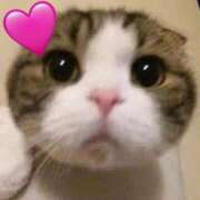 ヒメ日記 2025/11/11 14:03 投稿 柴崎あゆは THE痴漢電車.com