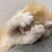 ヒメ日記 2026/01/04 12:34 投稿 柴崎あゆは THE痴漢電車.com