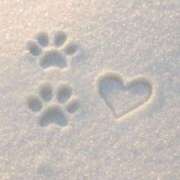 ヒメ日記 2026/01/30 18:21 投稿 柴崎あゆは THE痴漢電車.com