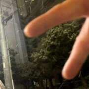 ヒメ日記 2026/02/08 03:03 投稿 柴崎あゆは THE痴漢電車.com