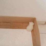 ヒメ日記 2026/03/05 13:43 投稿 柴崎あゆは THE痴漢電車.com