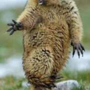 ヒメ日記 2026/03/07 16:37 投稿 柴崎あゆは THE痴漢電車.com