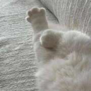 ヒメ日記 2026/03/14 18:38 投稿 柴崎あゆは THE痴漢電車.com