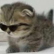 ヒメ日記 2026/04/04 16:13 投稿 柴崎あゆは THE痴漢電車.com