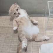 ヒメ日記 2025/08/28 13:35 投稿 ぽんかん すぐ舐めたくて学園立川校〜舐めたくてグループ〜